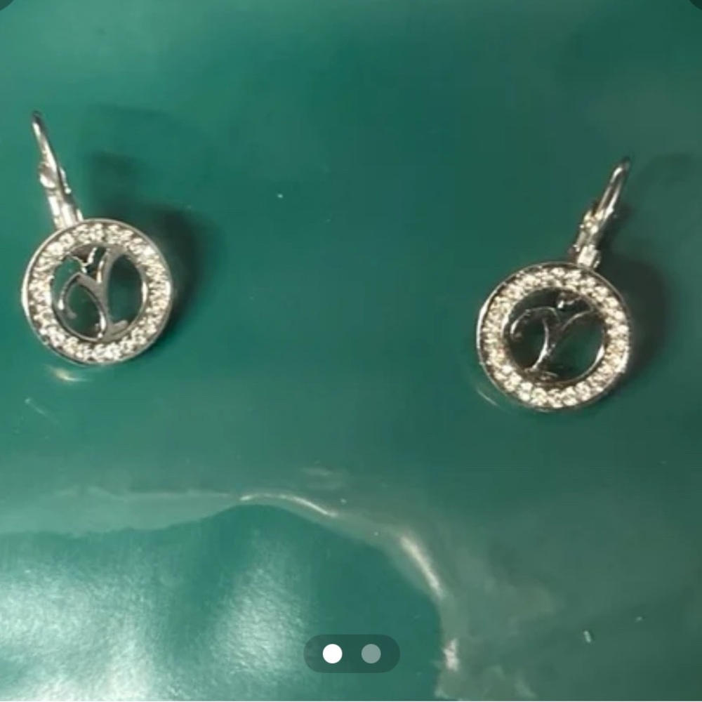 Silvertone earrings with stones around them